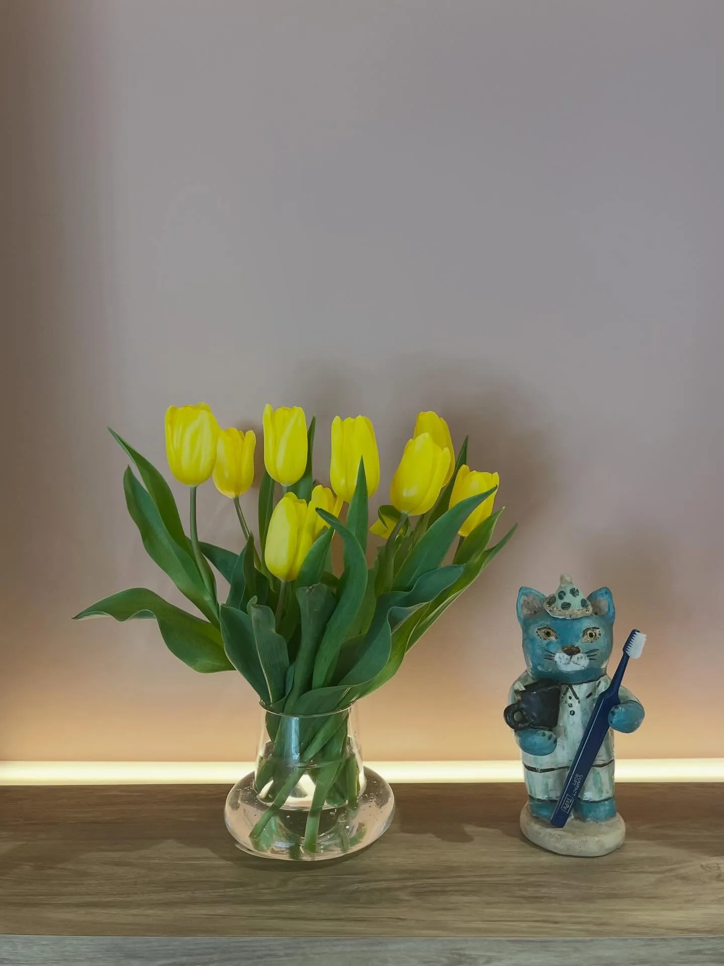 チューリップがきれいです